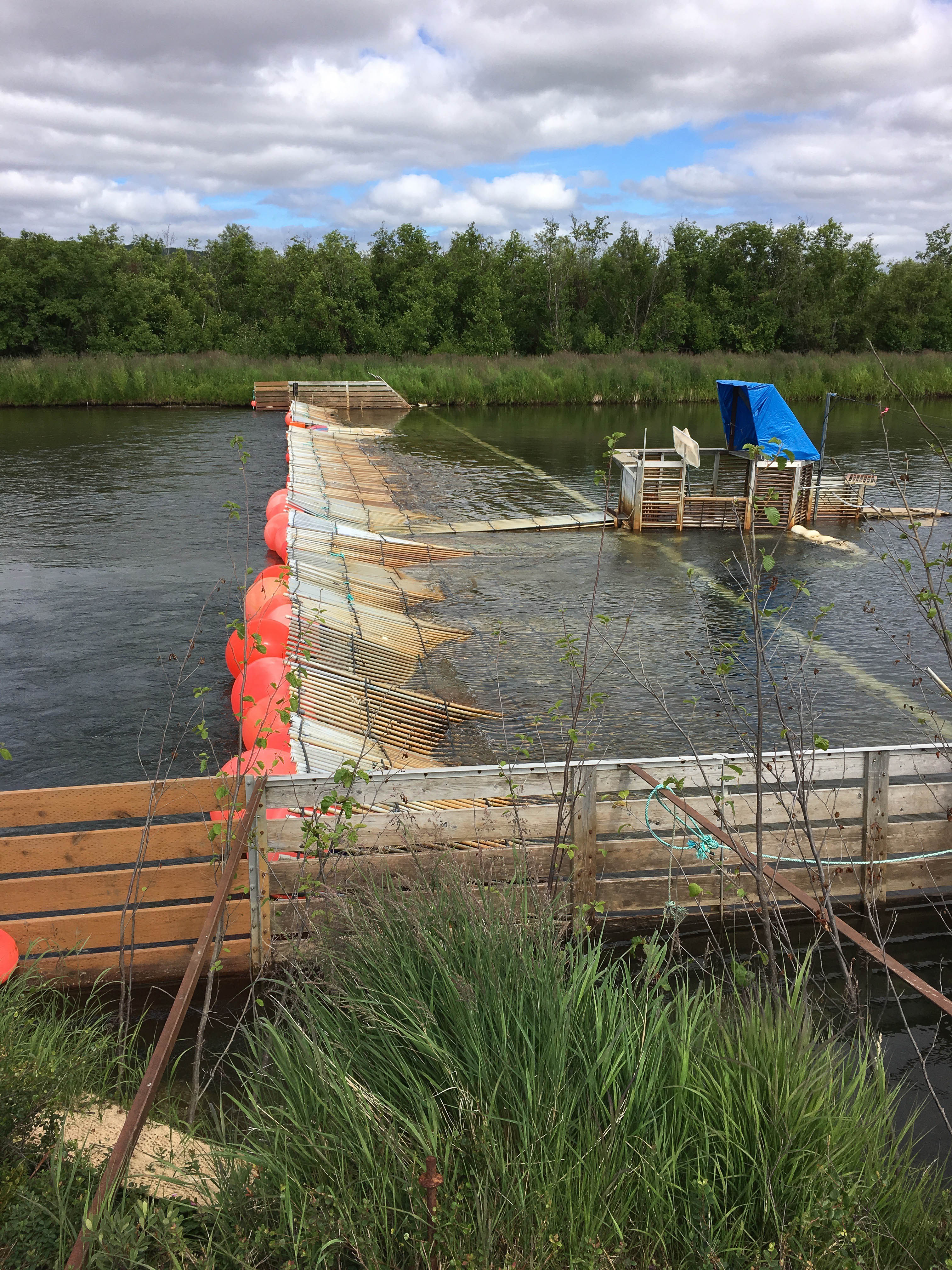 The Kwethluk fish weir is seen on July 16, 2017. Students at the Orutsararmiut Native Council's Science and Culture Camp near Kwethluk got to check out the fish-counting system at the weir, a sort of trap and funnel for fish. (Photo by Calvin Samson)