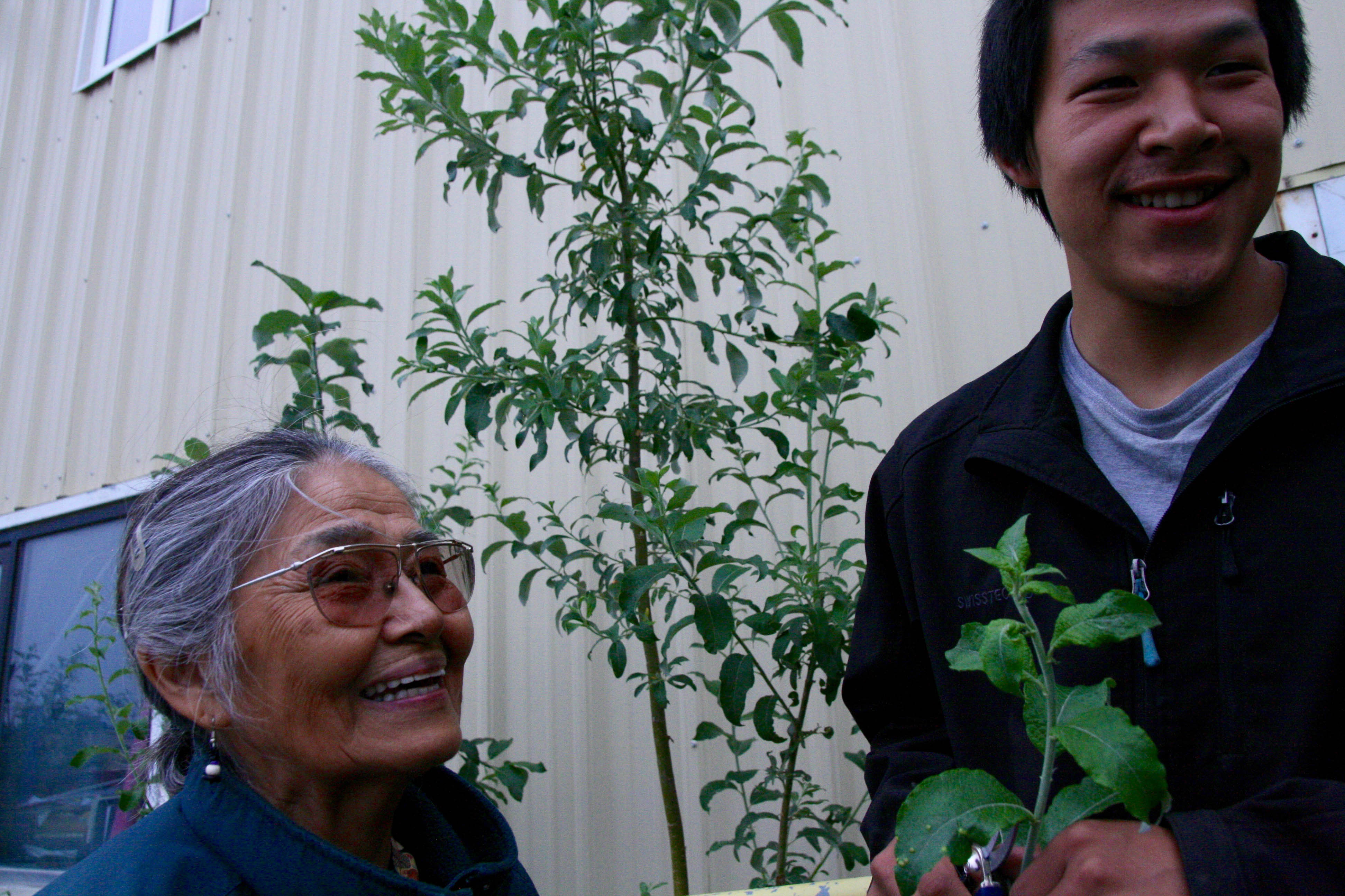 Elder Martha Larson and student Michael Egoak, 17, collect plant specimens during an ethnobotany lesson for Orutsararmiut Native Council's Science and Culture Camp on Thursday, July 20, 2017. (Lisa Demer / Alaska Dispatch News)