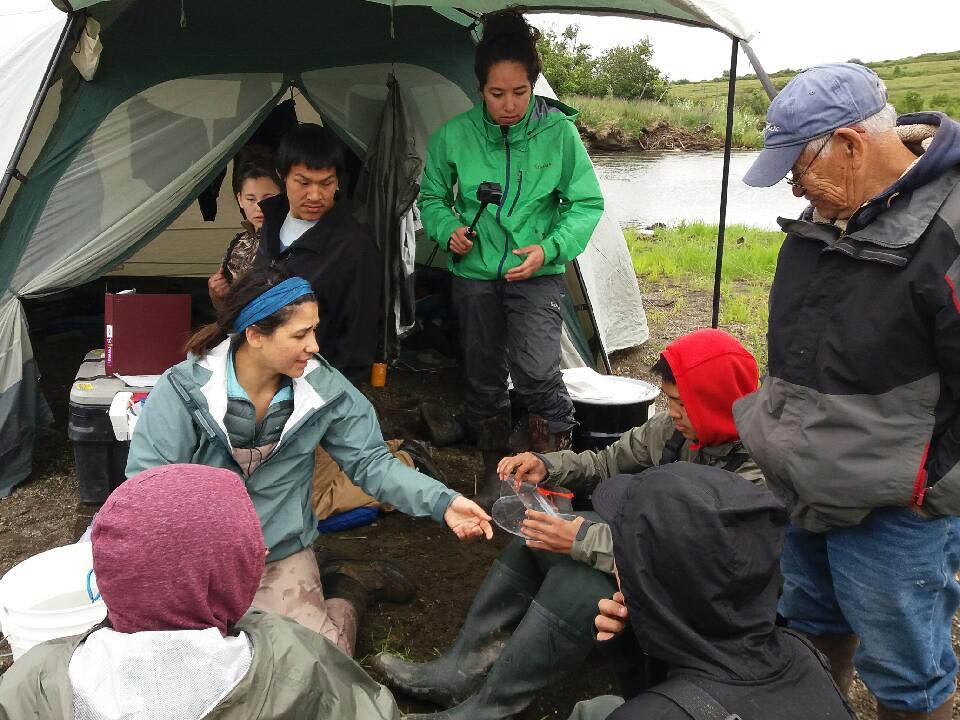 Students learn about juvenile salmon in July 2017 during Orutsararmiut Native Council's Science and Culture Camp on the Kwethluk River. (Photo by Paula Schiefer)