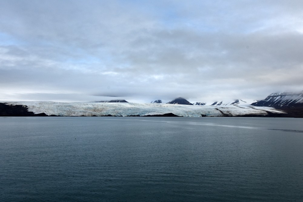 The Arctic - WWF Arctic