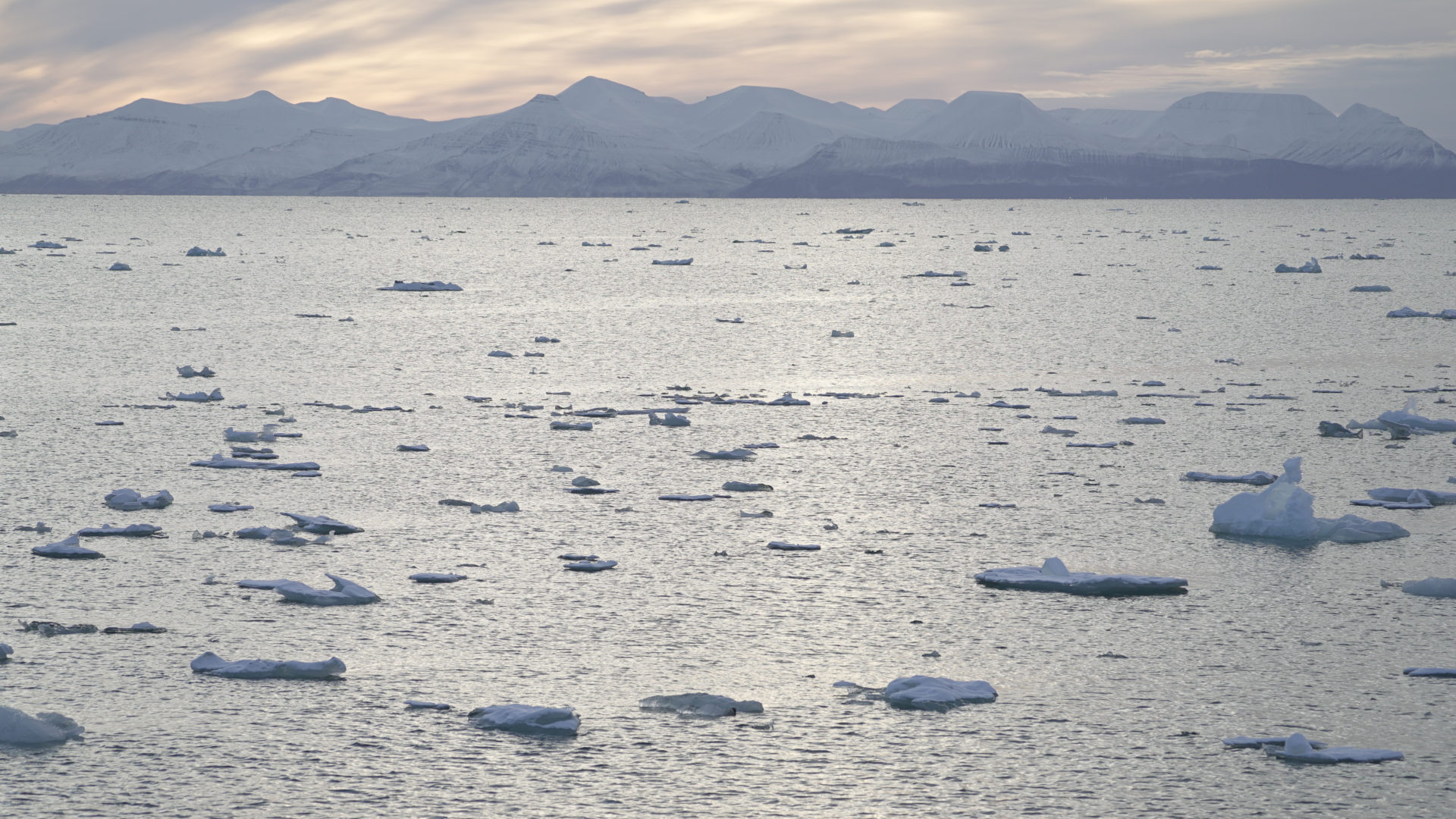 Environmentalists Call On Norway To Stop Plans For Deep-sea Mining ...