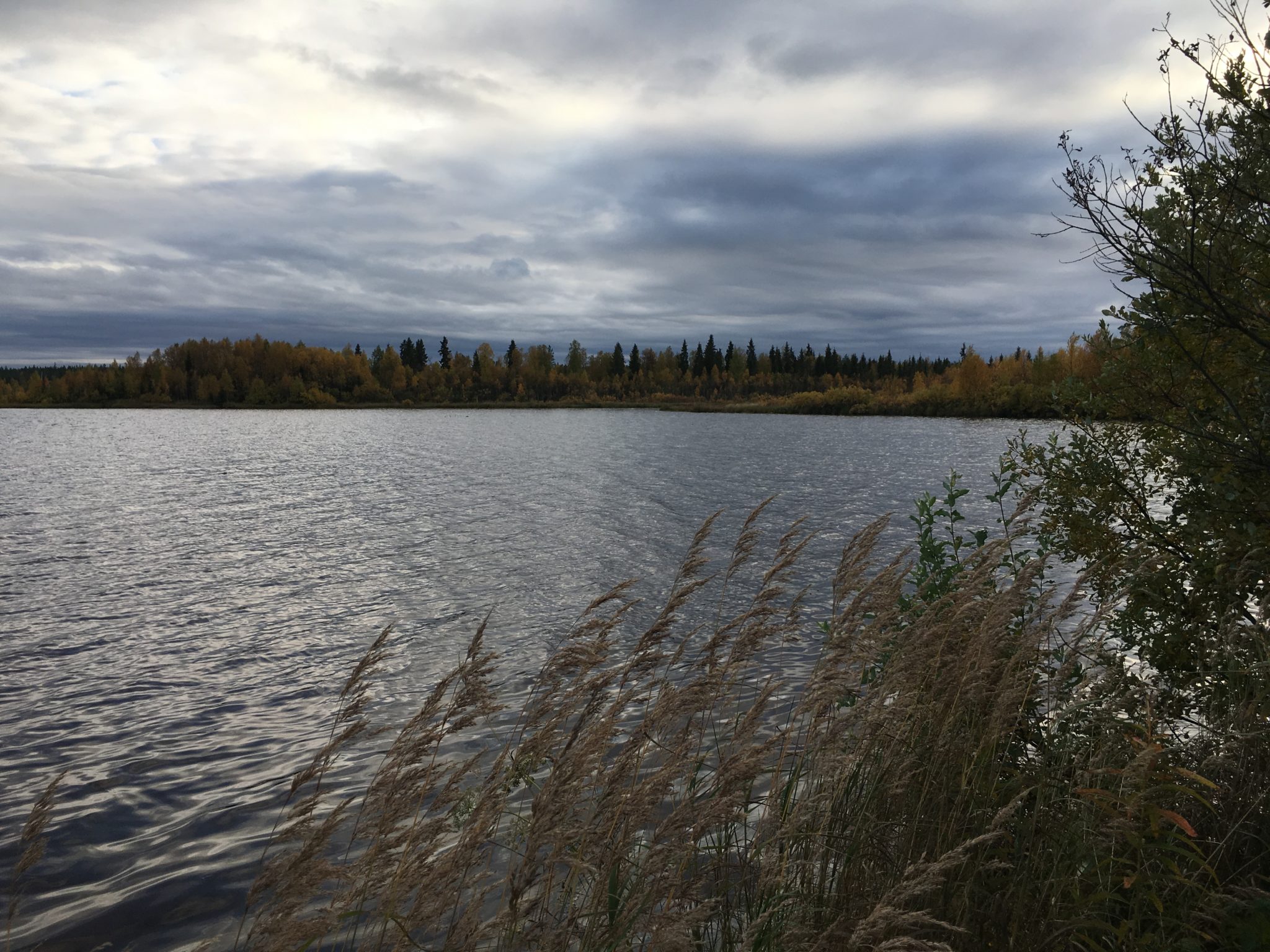 Climate Change Report Warns Of Multiple Threats Finnish Lapland   IMG 3752 2048x1536 